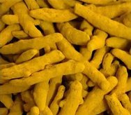 Haldi.jpg
